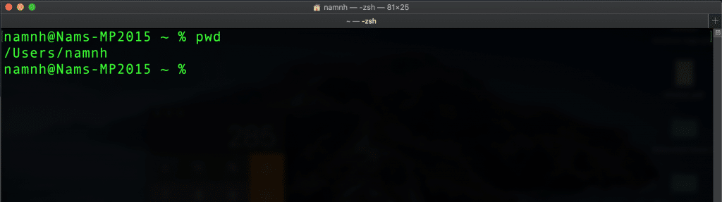 Hình Ảnh Terminal Trên MacOS